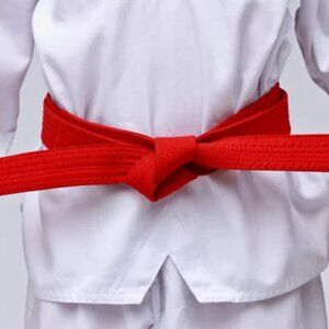 Vintage martial art karate taekwondo judo Jiu Jitsu training red belt
